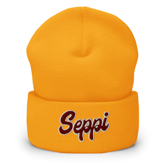 *COLLEGE EDITION* - Beanie