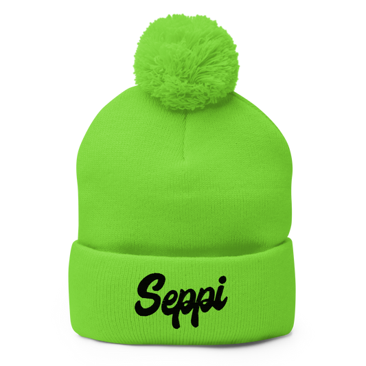 Pom-Pom Beanie