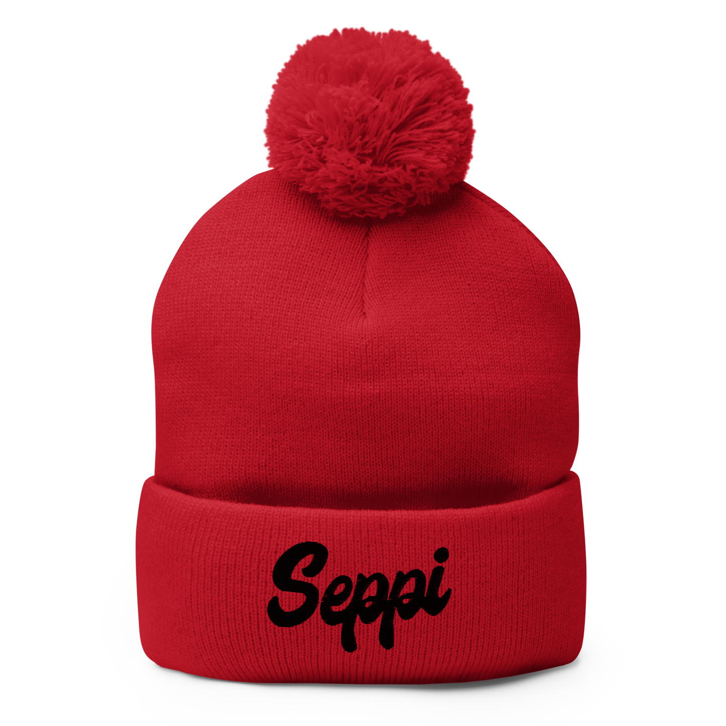 Pom-Pom Beanie